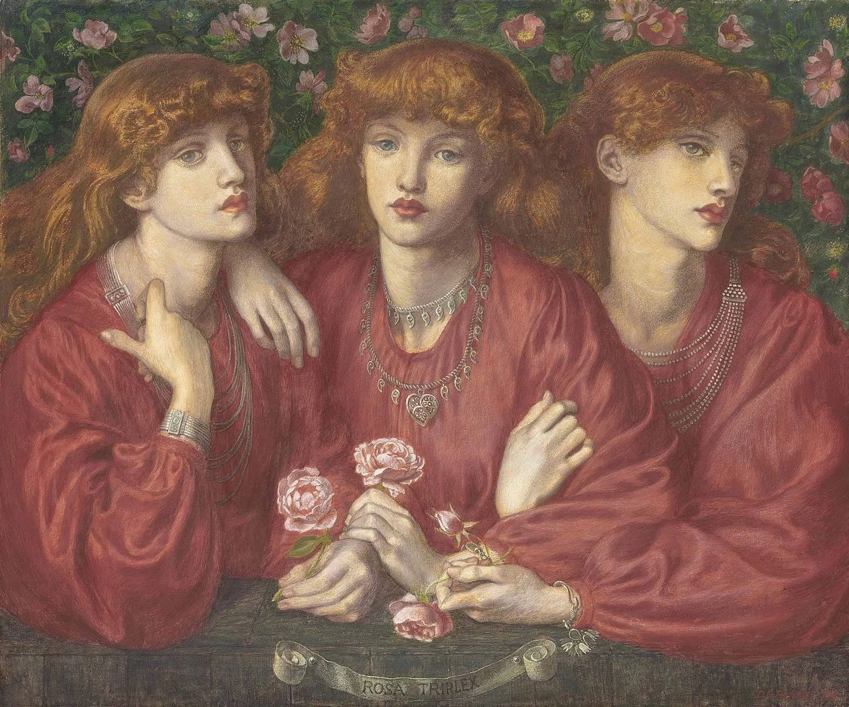 Rosa Triplex (1874)